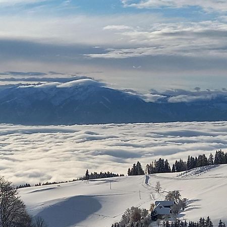 Almchalet Schuster Diex Экстерьер фото