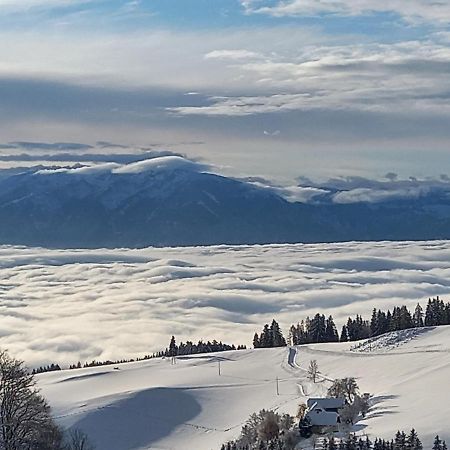 Вилла Almchalet Schuster Diex Экстерьер фото