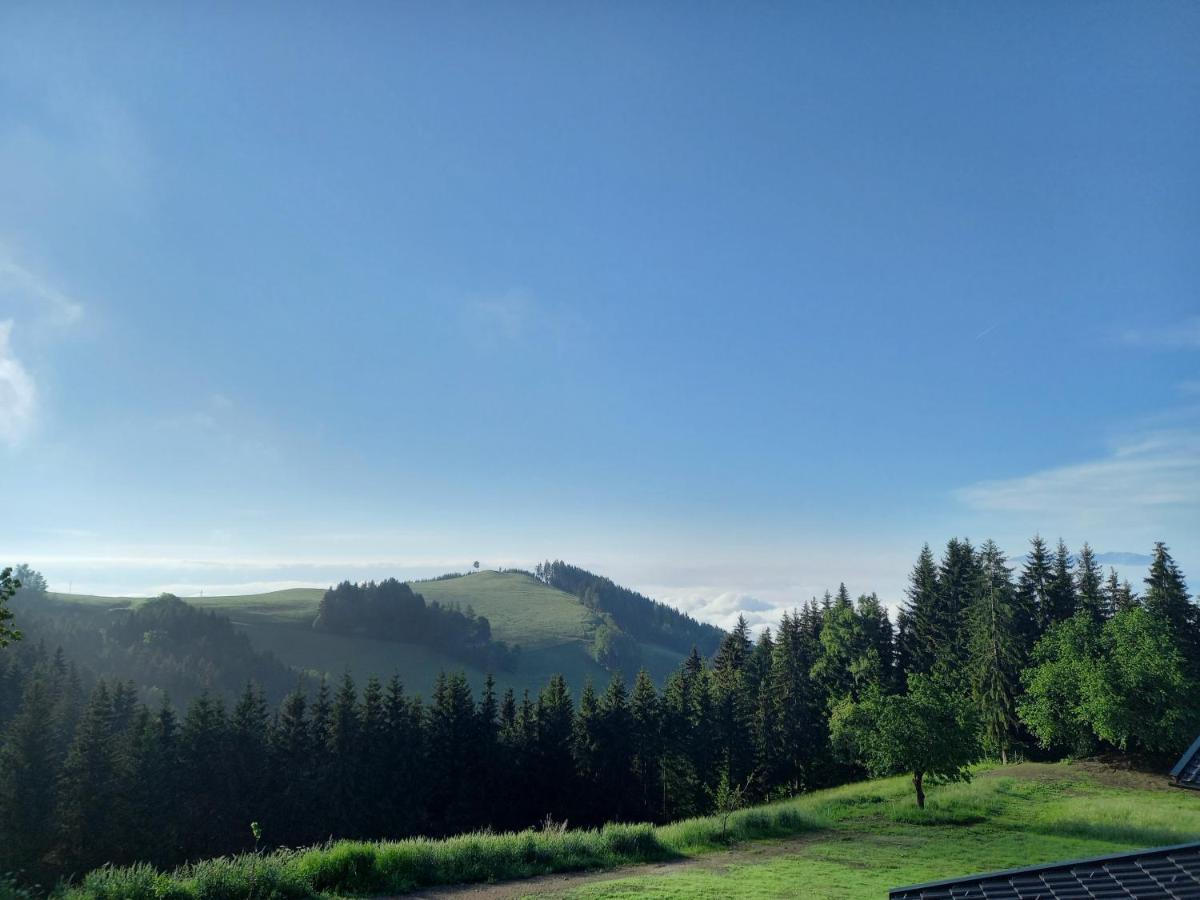 Almchalet Schuster Diex Экстерьер фото