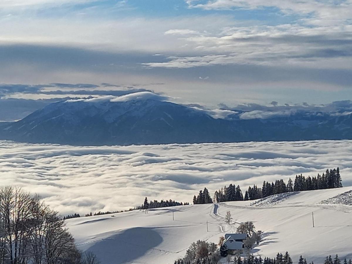 Вилла Almchalet Schuster Diex Экстерьер фото